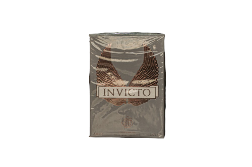 Invicto Perfume 100ml